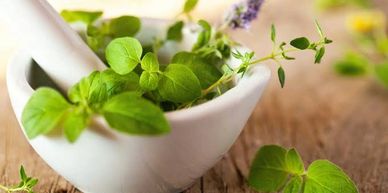 ORGANIC INGREDIENTS