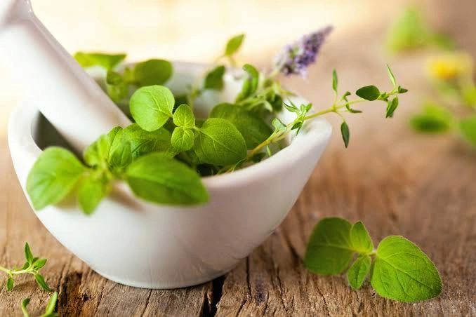 STANDARD HERBAL EXTRACTS